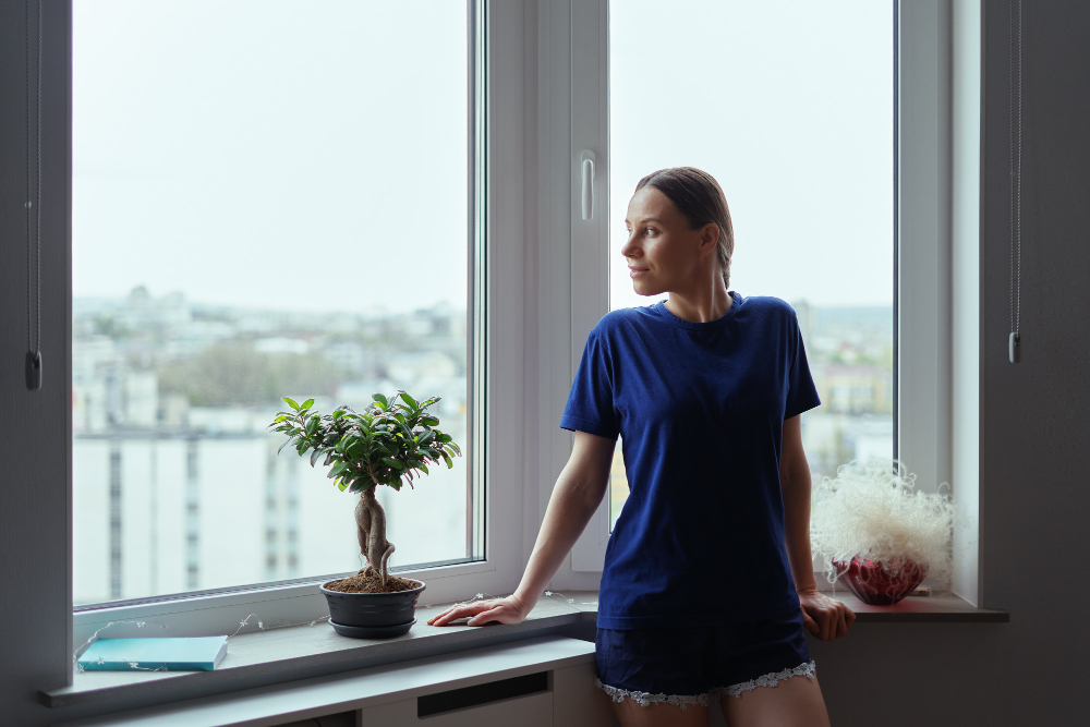 Belmont Window Styles